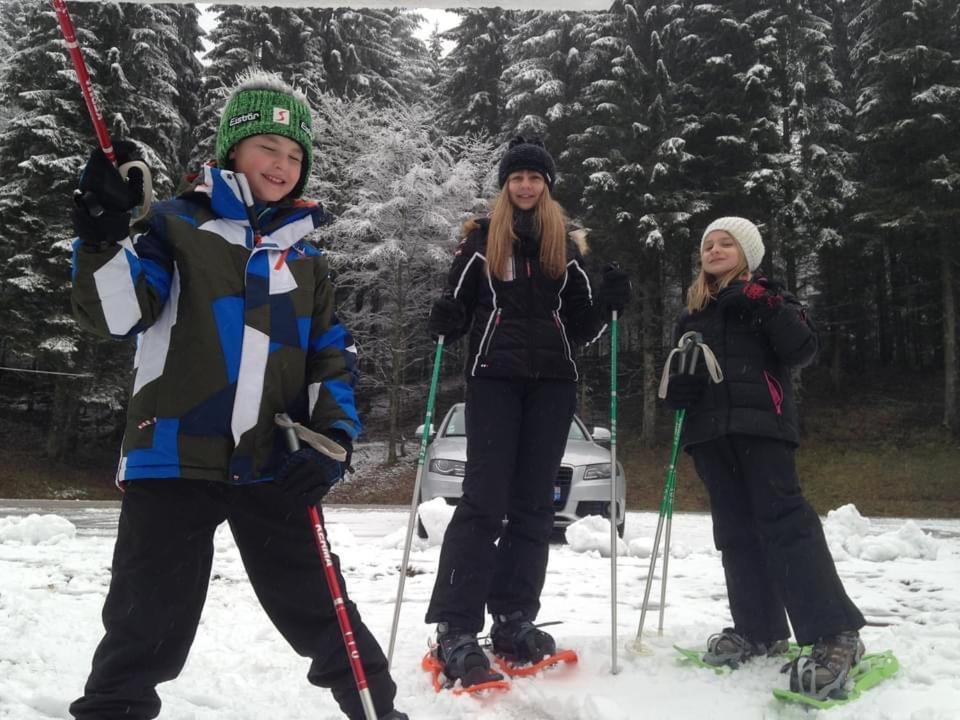 Chalet Spa Le Diamant Nathalie Mn La Rouge La Bresse Bagian luar foto